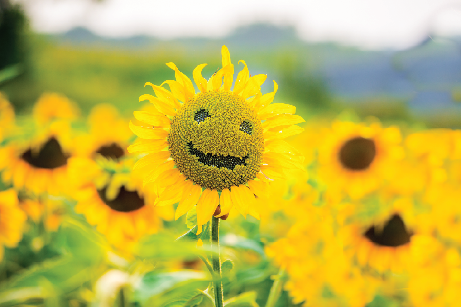 Happy Center images-04